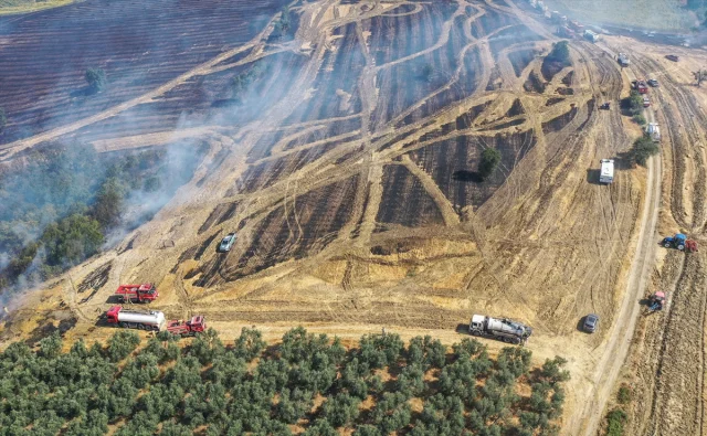 Bursa'da Arazi Yangınına Hızlı Müdahale Ormanı Korudu