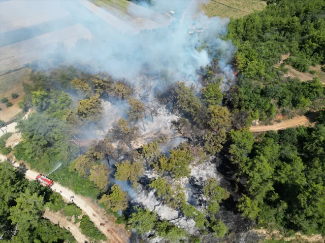 Manavgat'ta Yükselen Alevler Hızla Kontrol Altına Alındı