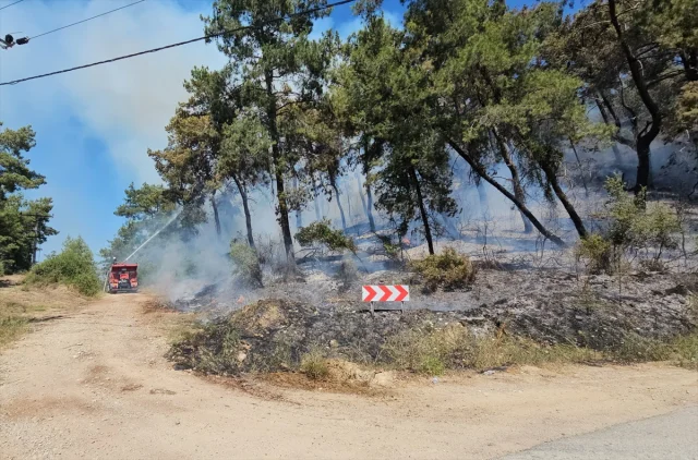 Manavgat'ta Yükselen Alevler Hızla Kontrol Altına Alındı