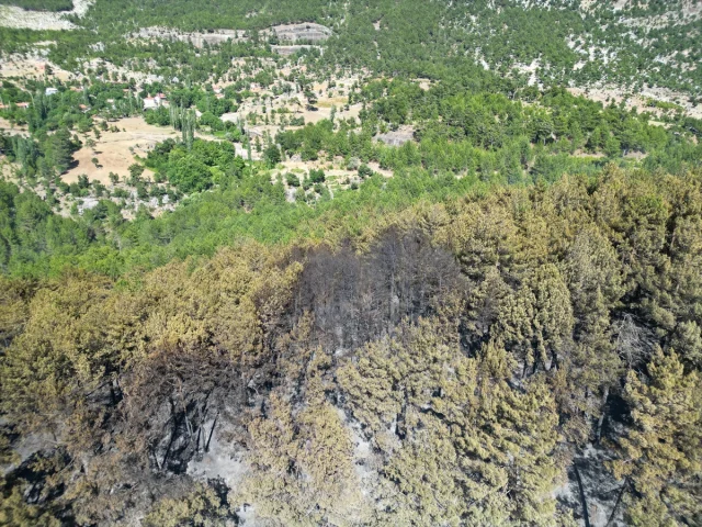 Isparta'nın Sütçüler İlçesindeki Orman Yangını Kontrol Altına Alındı