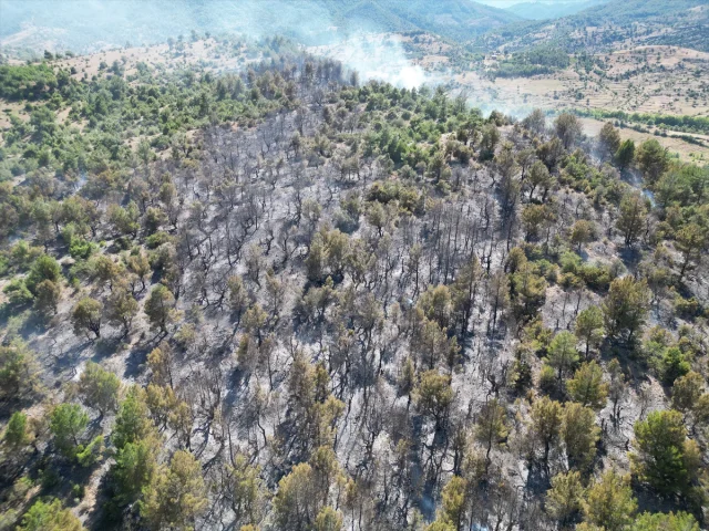 Isparta'nın Sütçüler İlçesindeki Orman Yangını Kontrol Altına Alındı