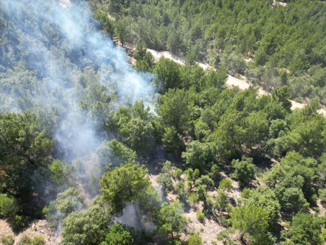 Isparta'nın Sütçüler İlçesindeki Orman Yangını Kontrol Altına Alındı
