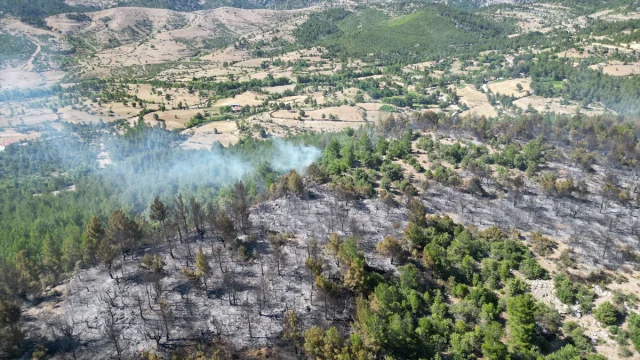 Isparta'nın Sütçüler İlçesindeki Orman Yangını Kontrol Altına Alındı