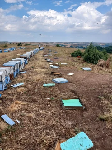 Tekirdağ'da Dolu Ekili Alanlara ve Arı Kovanlarına Zarar Verdi