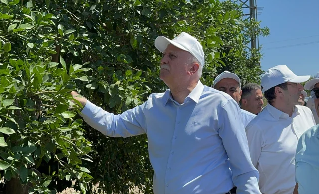 TZOB Genel Başkanı Bayraktar'dan Adana ve Mersin Tarımına Detaylı İnceleme