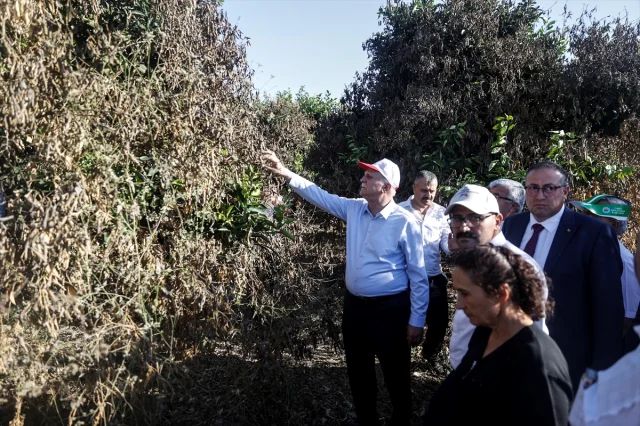 TZOB Genel Başkanı Bayraktar'dan Adana ve Mersin Tarımına Detaylı İnceleme