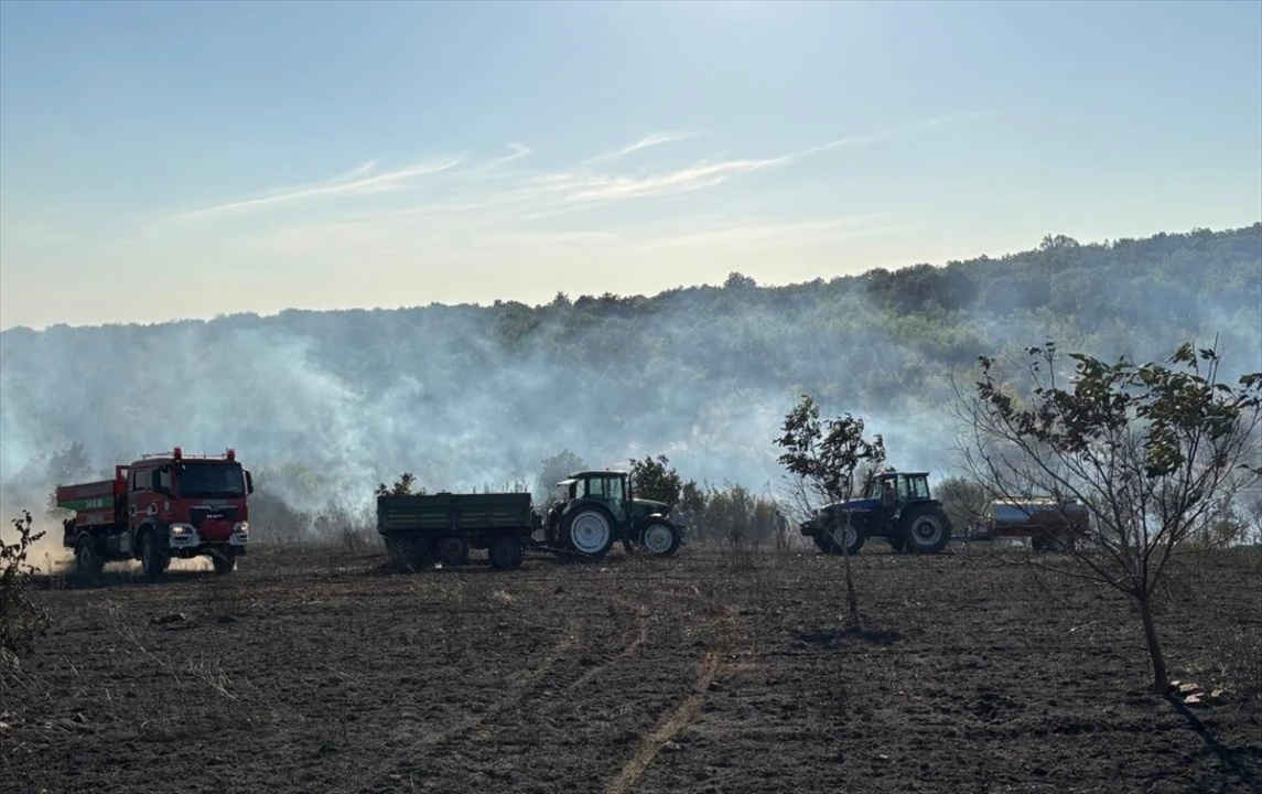 Edirne'nin Lalapaşa İlçesindeki Orman Yangını Kontrol Altına Alındı