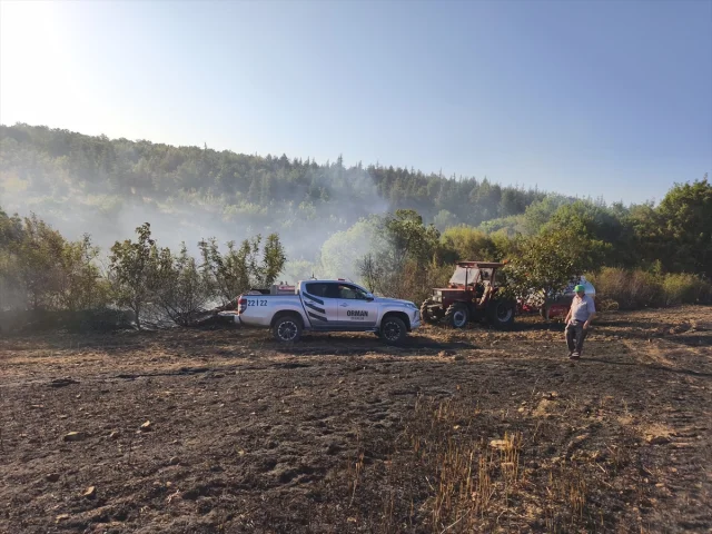 Edirne'nin Lalapaşa İlçesindeki Orman Yangını Kontrol Altına Alındı