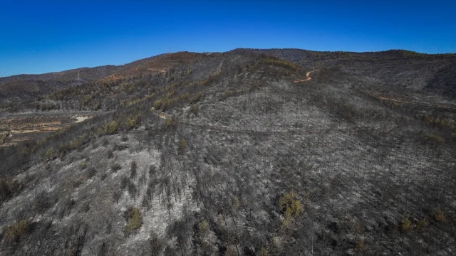 Hatay'daki Büyük Orman Yangını Havadan Görüntülendi