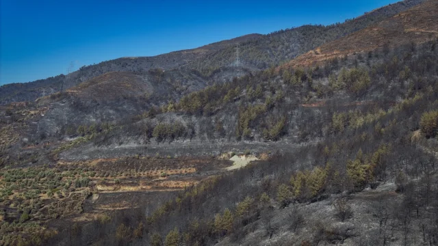 Hatay'daki Büyük Orman Yangını Havadan Görüntülendi
