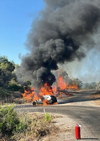 Muğla'da Araçtan Ormana Sıçrayan Yangın Hızla Kontrol Altına Alındı