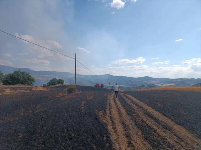 Çorum'un Uğurludağ İlçesinde Tarla Yangını Çiftçileri Endişe...