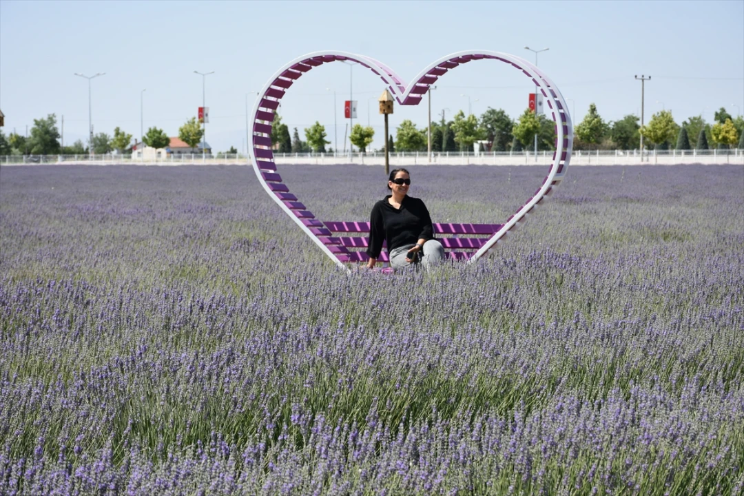 Karatay Lavanta Bahçesi 2023 Sezonunda Kapılarını Açtı