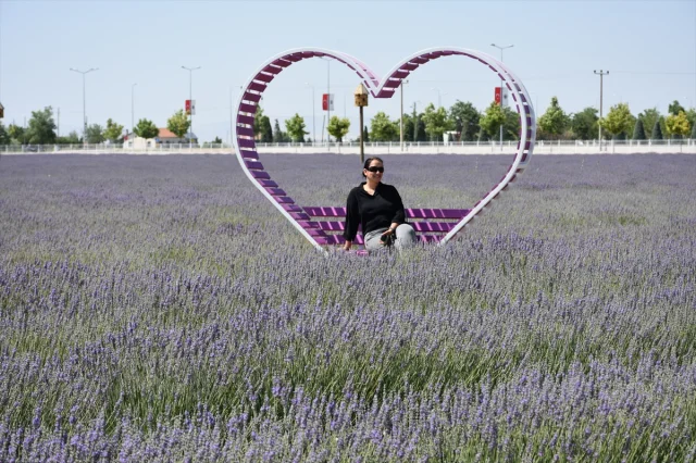 Karatay Lavanta Bahçesi 2023 Sezonunda Kapılarını Açtı