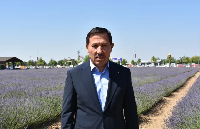 Karatay Lavanta Bahçesi 2023 Sezonunda Kapılarını Açtı