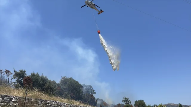 Bodrum'da Tarım Arazisinde Çıkan Yangın Kontrol Altında
