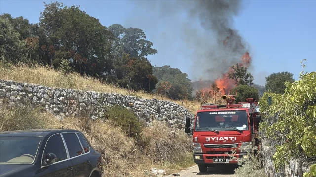 Bodrum'da Tarım Arazisinde Çıkan Yangın Kontrol Altında
