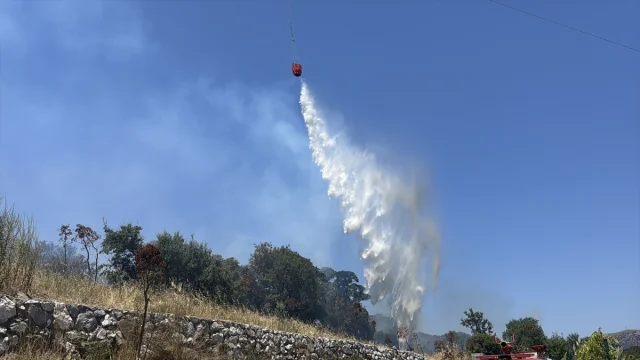 Bodrum'da Tarım Arazisinde Çıkan Yangın Kontrol Altında