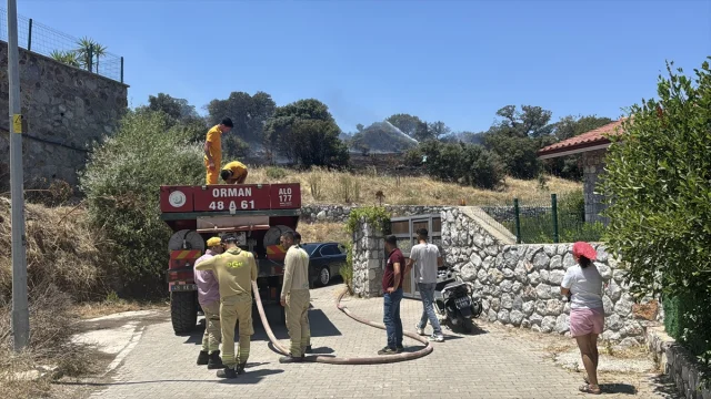Bodrum'da Tarım Arazisinde Çıkan Yangın Kontrol Altında