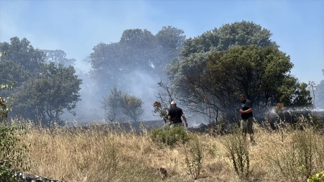Bodrum'da Tarım Arazisinde Çıkan Yangın Kontrol Altında