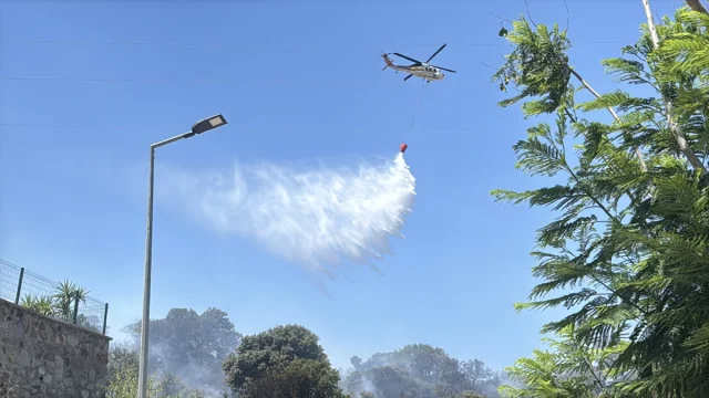 Bodrum'da Tarım Arazisinde Çıkan Yangın Kontrol Altında