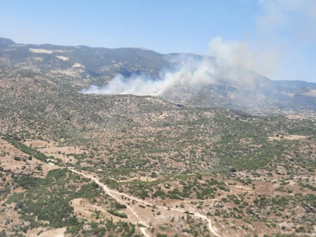 Aydın'ın Çine İlçesinde Çıkan Büyük Yangın Kontrol Altına Al...