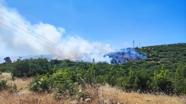 Bursa'nın İki İlçesinde Orman Yangını Hızla Kontrol Altına A...