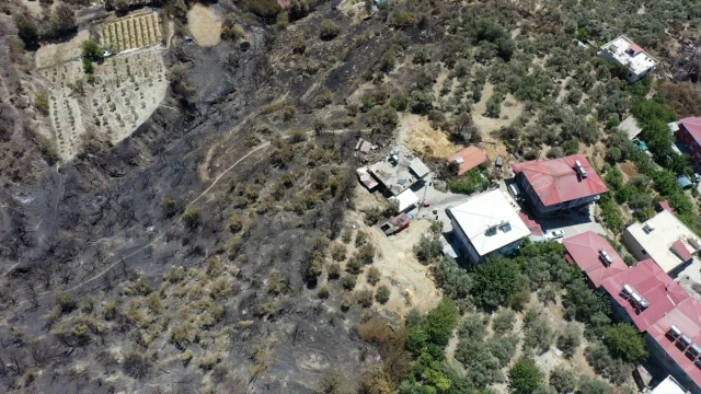 Hatay'da Orman Yangını Sonrası Kapsamlı Hasar Tespit Çalışma...