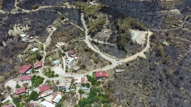 Hatay'da Orman Yangını Sonrası Kapsamlı Hasar Tespit Çalışmaları Başladı