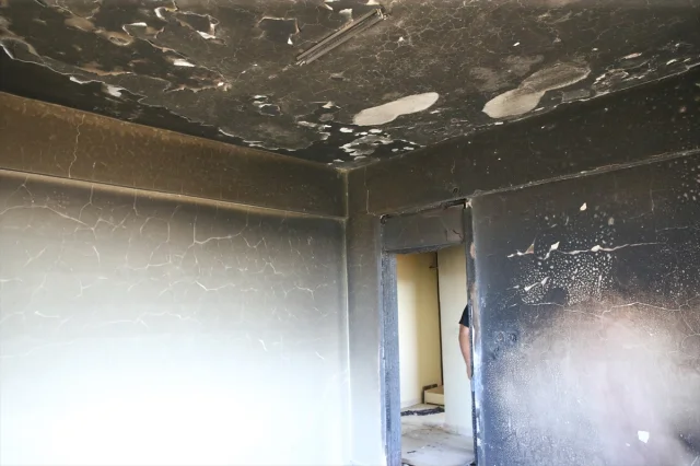 Hatay'da Orman Yangını Sonrası Kapsamlı Hasar Tespit Çalışmaları Başladı