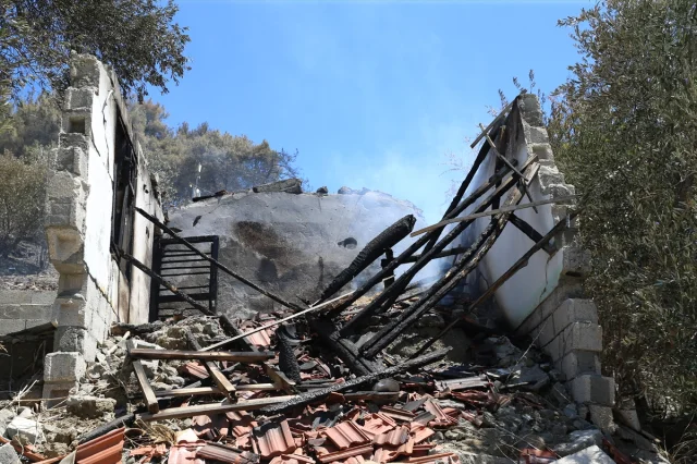 Hatay'da Orman Yangını Sonrası Kapsamlı Hasar Tespit Çalışmaları Başladı