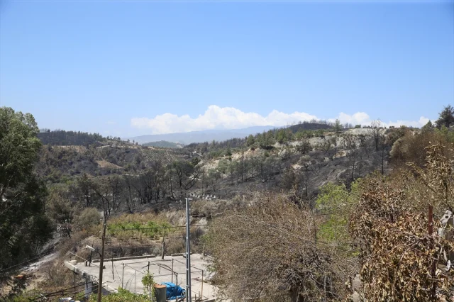 Hatay'da Orman Yangını Sonrası Kapsamlı Hasar Tespit Çalışmaları Başladı