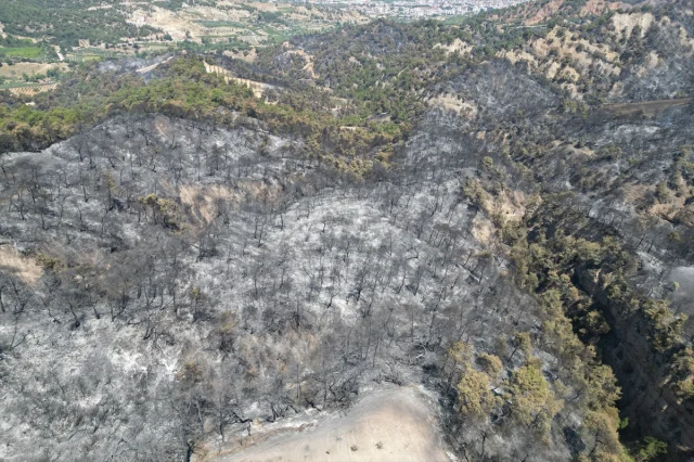 Manisa'da Orman Yangınları Yeniden Gündemde: Hangi Adımlar Atılıyor?