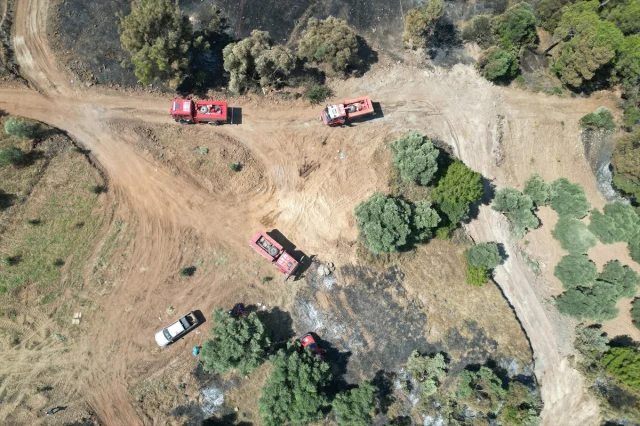 Manisa'da Orman Yangınları Yeniden Gündemde: Hangi Adımlar Atılıyor?