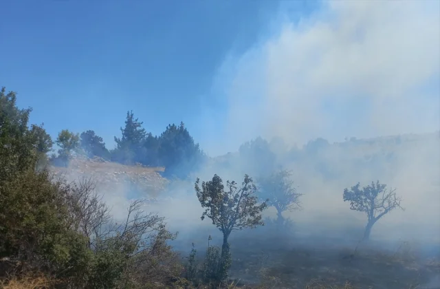Mersin'de Tarım Arazisinde Çıkan Yangın Hızla Kontrol Altına...