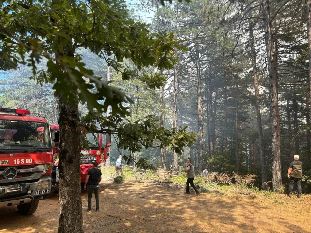 Bursa'nın İki İlçesinde Orman Yangınlarıyla Mücadele Sürüyor