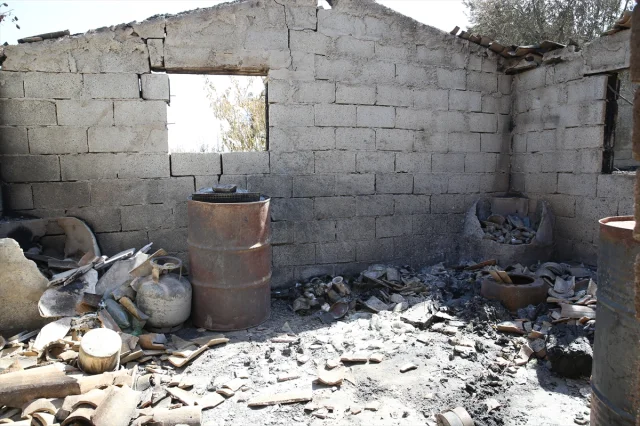 Deprem ve Yangın Felaketleri Bir Kadının Hayatını Nasıl Değiştirdi
