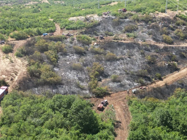 Bursa'nın İki İlçesinde Orman Yangınlarıyla Mücadele Sürüyor