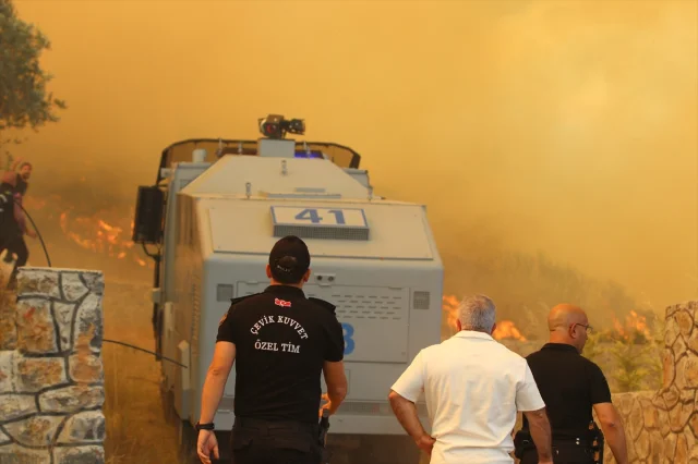 Kocaeli'nin Yeşil Alanları Tehlikede: Orman Yangınıyla Mücadele Devam Ediyor