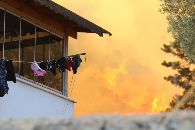Kocaeli'nin Yeşil Alanları Tehlikede: Orman Yangınıyla Mücadele Devam Ediyor