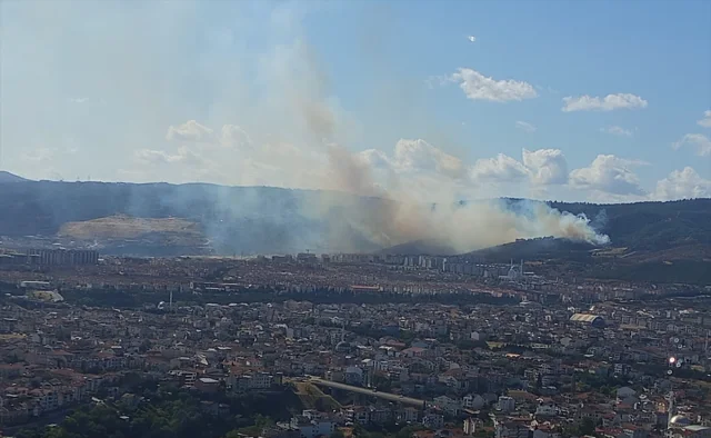 Kocaeli'nin Yeşil Alanları Tehlikede: Orman Yangınıyla Mücadele Devam Ediyor