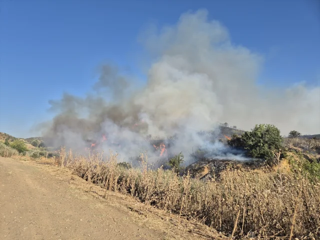 Manisa'da Yangın Alarmı: Rüzgar Hızıyla Yayılan Alevler Evlere ve Çiftliklere Zarar Verdi