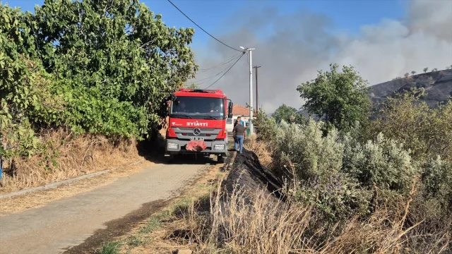 Manisa'da Yangın Alarmı: Rüzgar Hızıyla Yayılan Alevler Evlere ve Çiftliklere Zarar Verdi