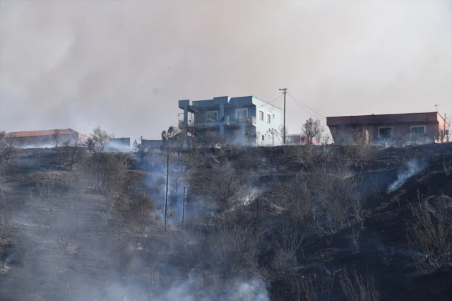 Manisa'da Başlayan Yangınla Mücadele: Kriz Anında Kahramanca Mücadele