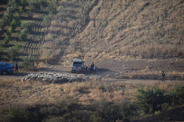 Manisa'da Başlayan Yangınla Mücadele: Kriz Anında Kahramanca Mücadele