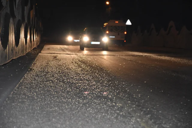 Sakarya'da Ölüme İniş Yapan Birgün Sinekleri Zor Anlar Yaşattı