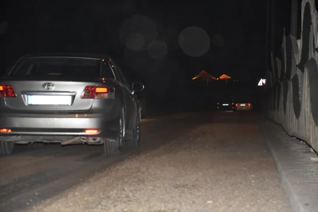Sakarya'da Ölüme İniş Yapan Birgün Sinekleri Zor Anlar Yaşattı