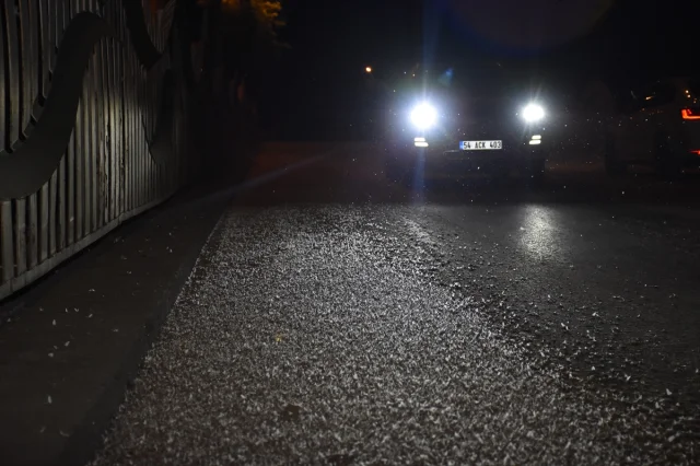 Sakarya'da Ölüme İniş Yapan Birgün Sinekleri Zor Anlar Yaşattı