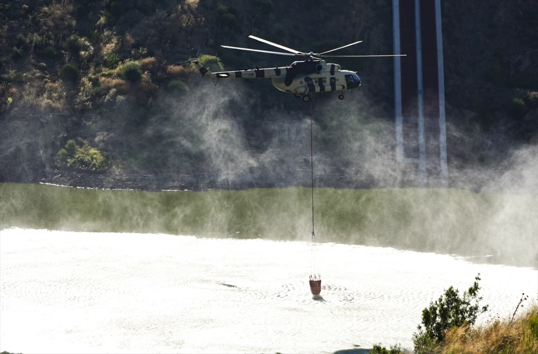 İzmir'in Ödemiş İlçesinde Devam Eden Orman Yangını: Müdahale Çalışmaları Artıyor