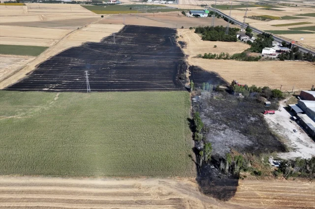 Edirne'de Buğday Tarlasında Çıkan Yangın Hızla Söndürüldü